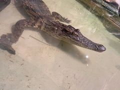 -正佳雨林生态植物园