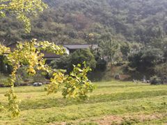 -千岛湖石林