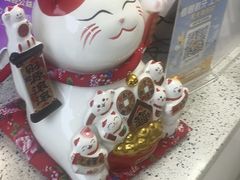 -美可普口腔医院(东街分店)