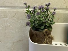 -仁华宠物医院(青羊店)