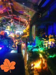 -恐龙探索乐园(磁器口店)