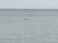 -兴城海滨风景区