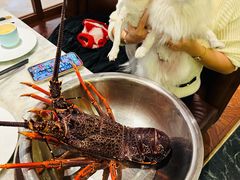 -蝶园·装修中(BFC外滩金融中心店)