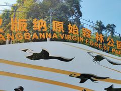 -西双版纳原始森林公园