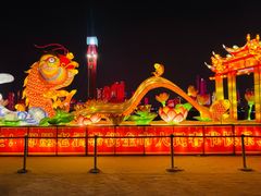 -青岛奥林匹克帆船中心