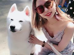 -TrueLove @ Neverland (Husky Cafe)