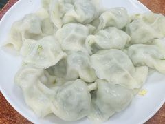-启子大馅饺子