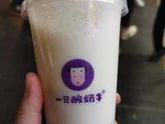 -一只酸奶牛(八一路店)