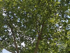 -湖南省地质博物馆