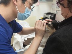 -美联众合动物医院·24h转诊中心
