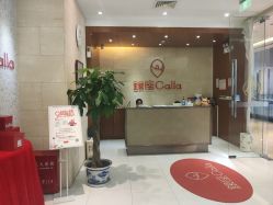 -银座Calla日式美容沙龙