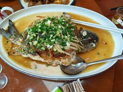 -杨记新泉美食