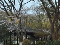 -浙江西子宾馆·牡丹厅