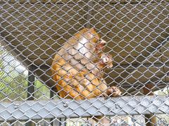 -长白岛森林公园