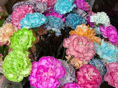 -循礼门鲜花花市(武汉循礼门店)