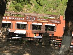 -Local泰莲庭(虹鳟鱼店)