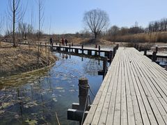 -马家湾湿地公园