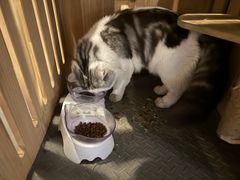 -Mr.Fox狐狸先生超级密室(南山店)