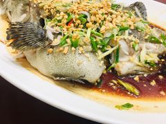 清蒸龙趸鱼-国家五钻酒家·西樵旺阁渔村(西樵店)