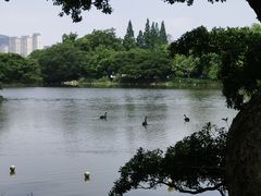 -江心屿景区