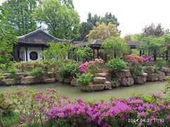 -红梅公园