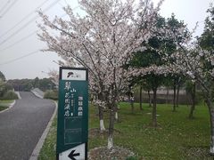 -九里河湿地公园