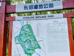 -东郊湿地公园