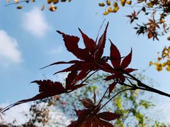 -白马涧龙池景区