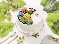 半面多肉植物生日蛋糕-BON CAKE(华贸购物中心店)