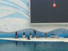 -北戴河圣蓝海洋公园