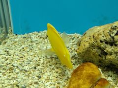 -北戴河圣蓝海洋公园