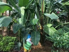 -石家庄市植物园