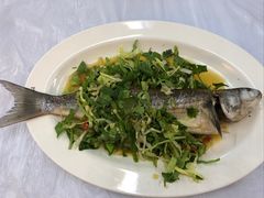 -陈根记大牌档