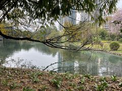 -晓港公园