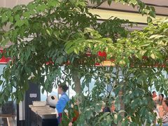 -眉州东坡(北苑华贸店)
