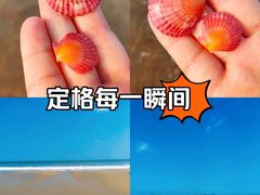 -刘公岛景区