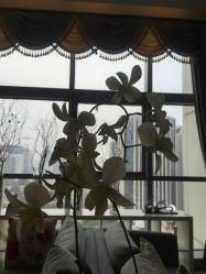 -北京米扬丽格医疗美容·联合丽格鼻整形中心