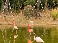 -杭州野生动物世界