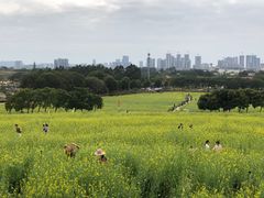 -光明小镇欢乐田园