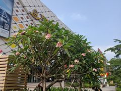 -万达广场(惠州大亚湾店)