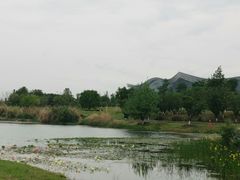 -桂溪生态公园
