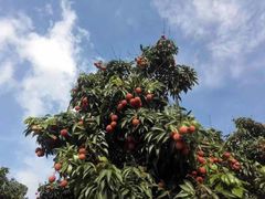 -南通洲际绿博园