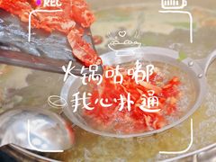 -刘少华贵州小黄牛·鲜牛肉火锅(总店)