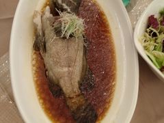 清蒸老虎斑-御龙宴