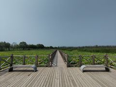 -野鸭湖国家湿地公园