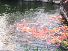 -大门水乡·顺德菜