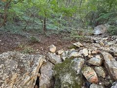 -大连天门山国家森林公园