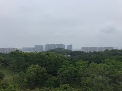 -飞凤山奥体公园