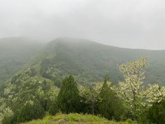 -北京鹫峰国家森林公园