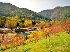 -广州市石门国家森林公园